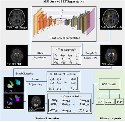 Computer-Aided Classification Framework of Parkinsonian Disorders Using 11C-CFT PET Imaging